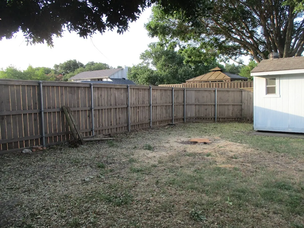 Cleared yard after professional tree removal in Amherst